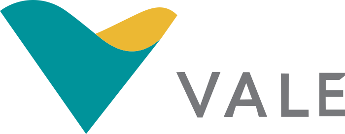 Valle Logo